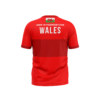 Wales Jersey Back